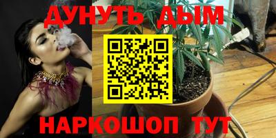 мдпв Рыбинск